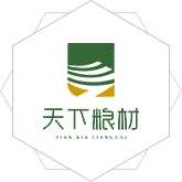 国外同性操骚穴